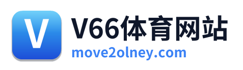 V66体育网站